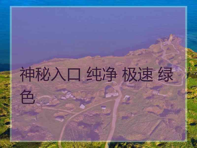 神秘入口 纯净 极速 绿色