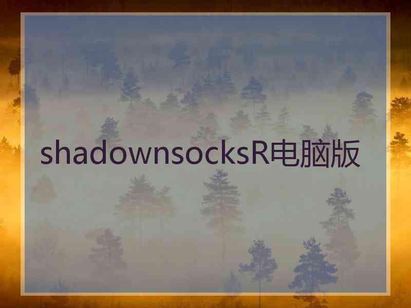 shadownsocksR电脑版