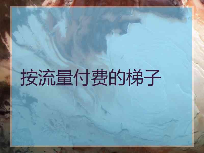 按流量付费的梯子