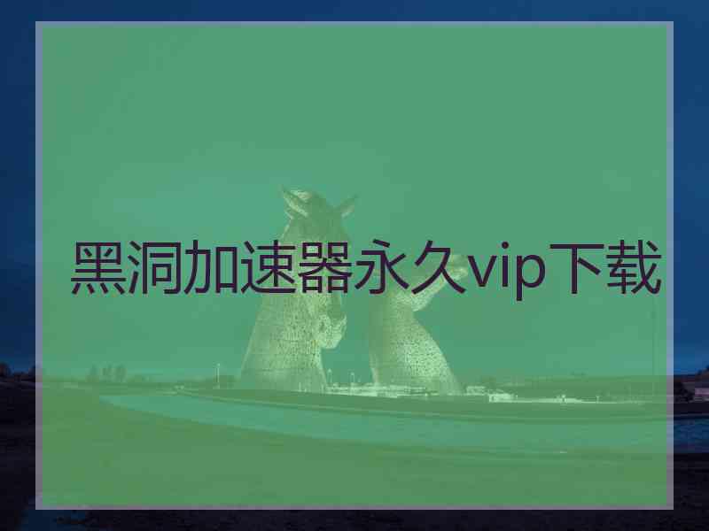 黑洞加速器永久vip下载