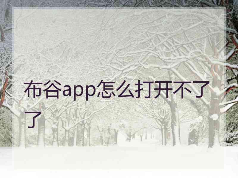 布谷app怎么打开不了了