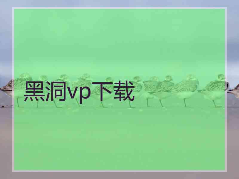 黑洞vp下载