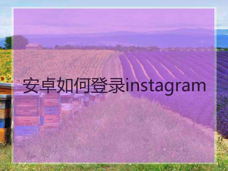 安卓如何登录instagram