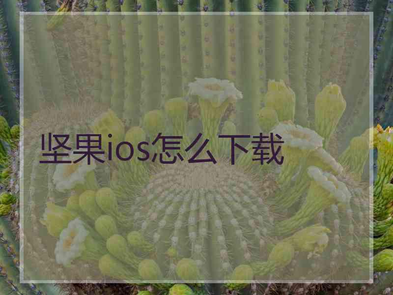 坚果ios怎么下载