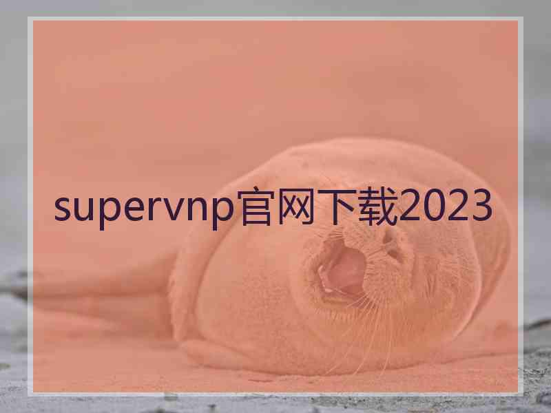 supervnp官网下载2023