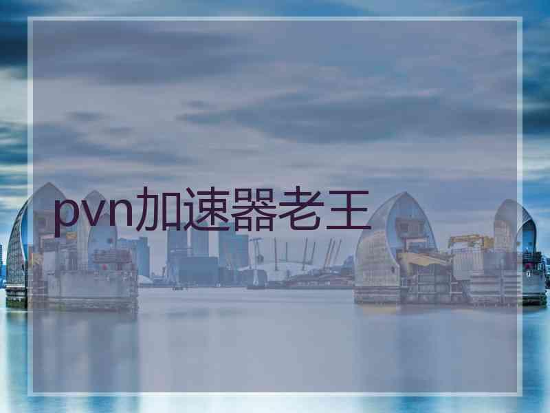 pvn加速器老王