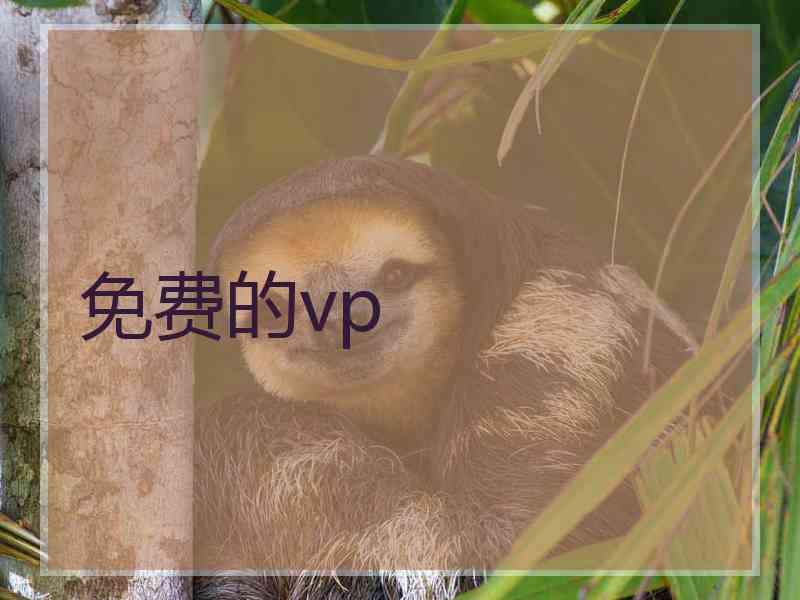 免费的vp