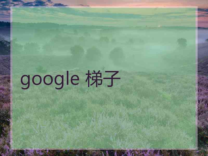 google 梯子