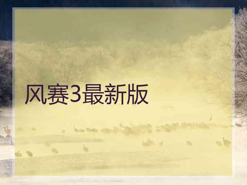 风赛3最新版
