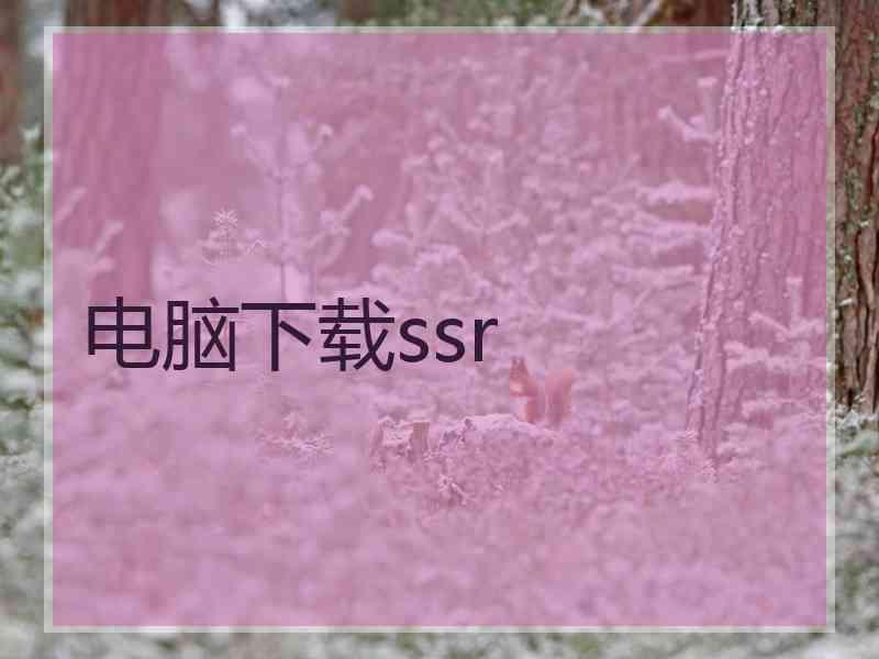 电脑下载ssr