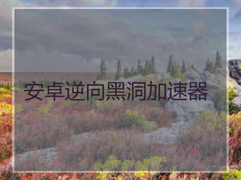 安卓逆向黑洞加速器