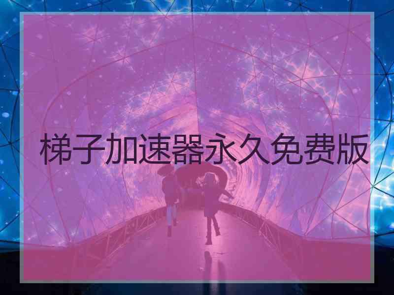梯子加速器永久免费版