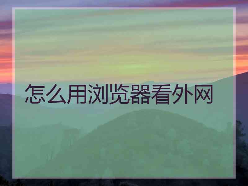 怎么用浏览器看外网