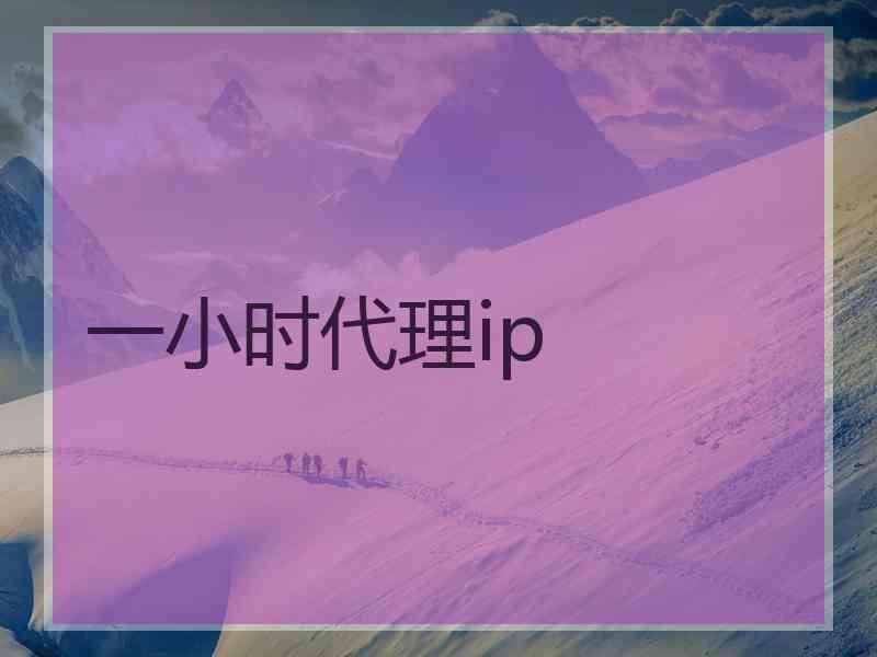 一小时代理ip