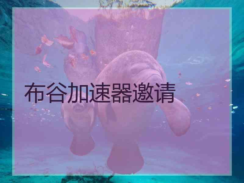 布谷加速器邀请
