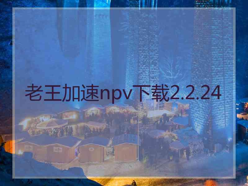 老王加速npv下载2.2.24