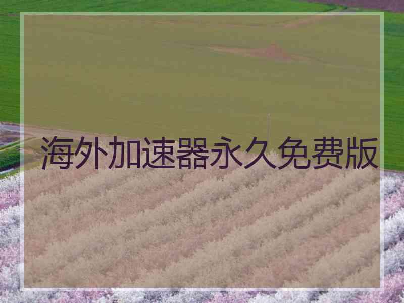 海外加速器永久免费版
