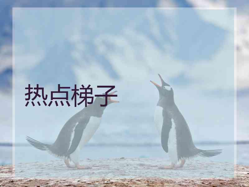 热点梯子