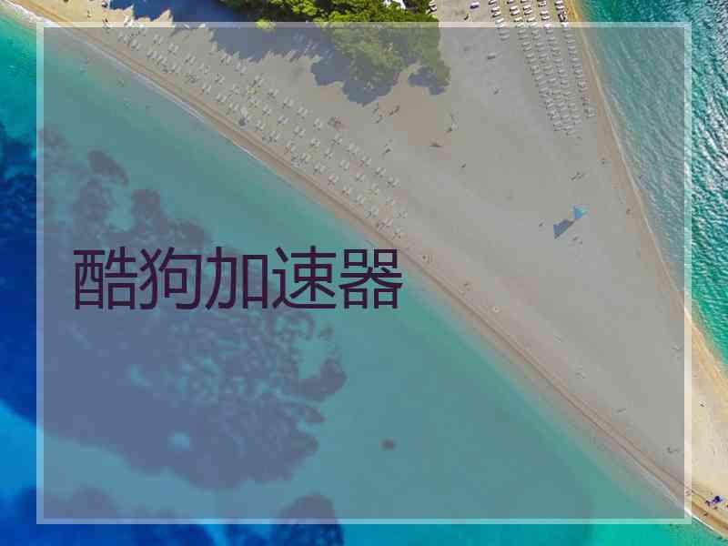 酷狗加速器