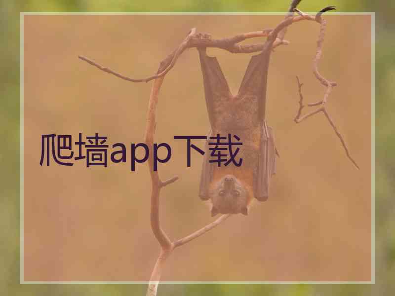 爬墙app下载