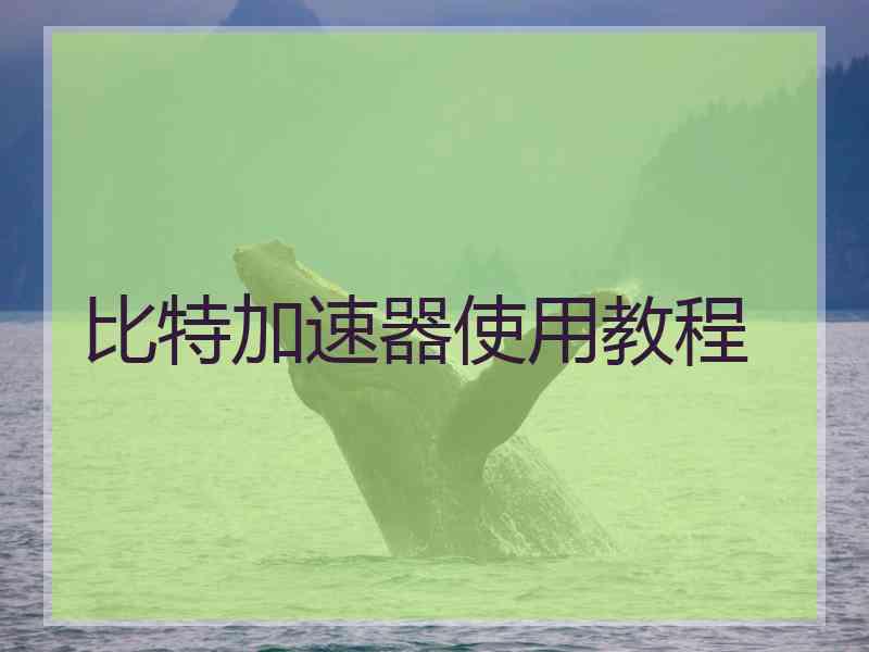 比特加速器使用教程