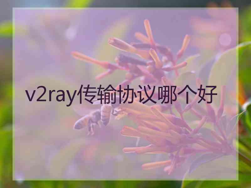 v2ray传输协议哪个好