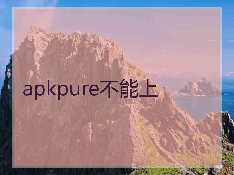 apkpure不能上