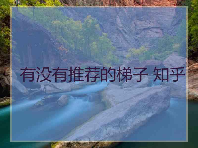 有没有推荐的梯子 知乎