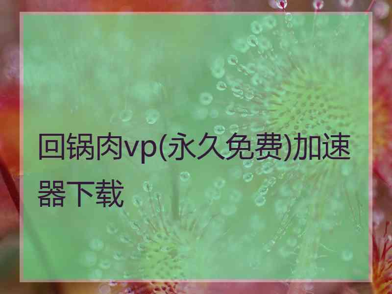 回锅肉vp(永久免费)加速器下载