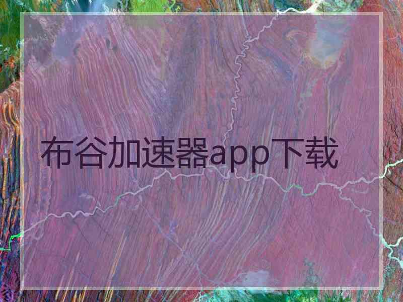 布谷加速器app下载