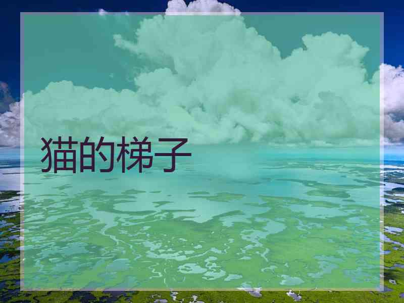猫的梯子