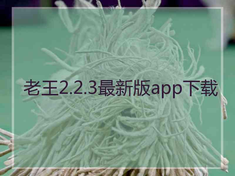 老王2.2.3最新版app下载