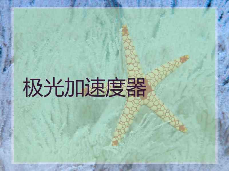 极光加速度器