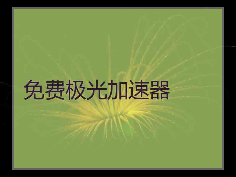 免费极光加速器