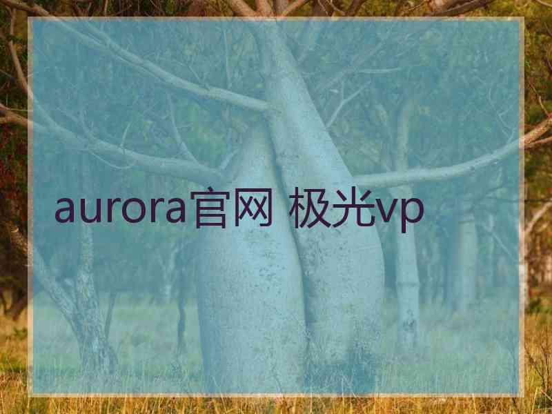 aurora官网 极光vp
