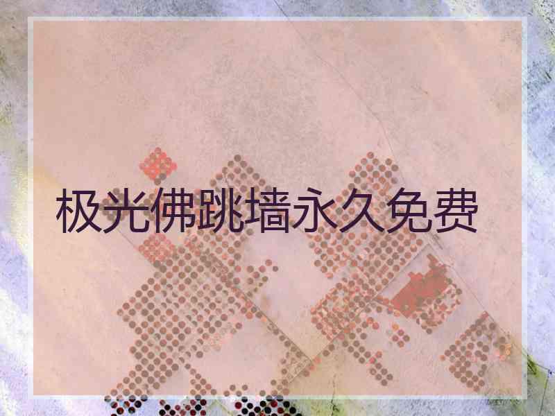极光佛跳墙永久免费