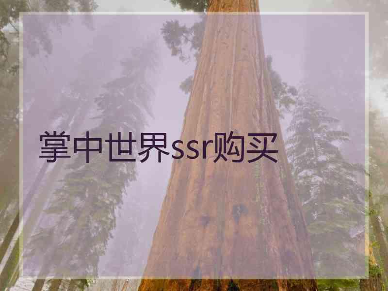 掌中世界ssr购买