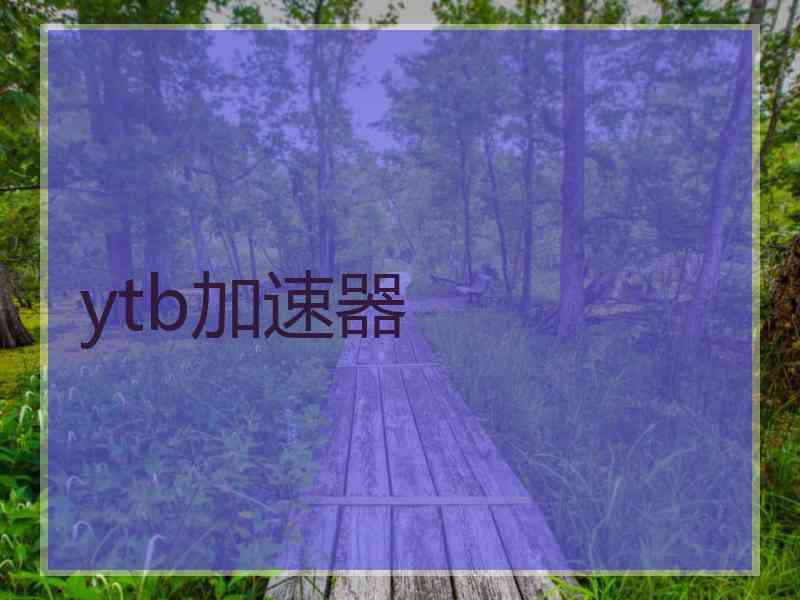 ytb加速器