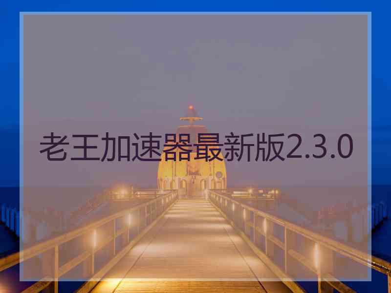 老王加速器最新版2.3.0