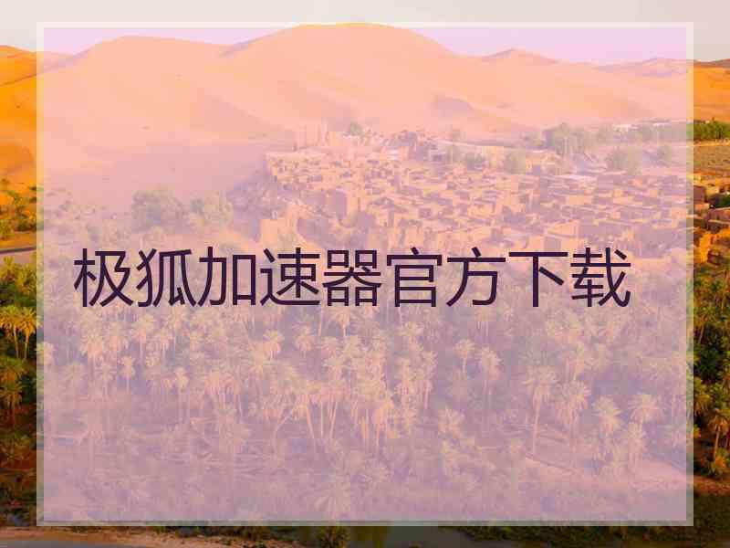 极狐加速器官方下载