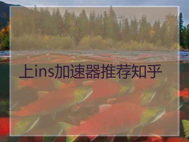 上ins加速器推荐知乎