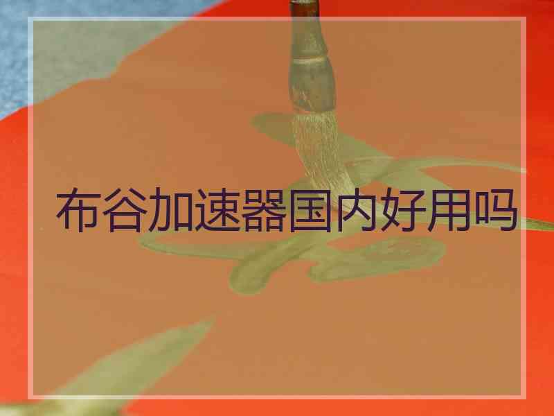 布谷加速器国内好用吗