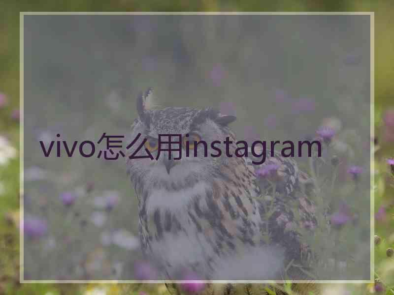 vivo怎么用instagram