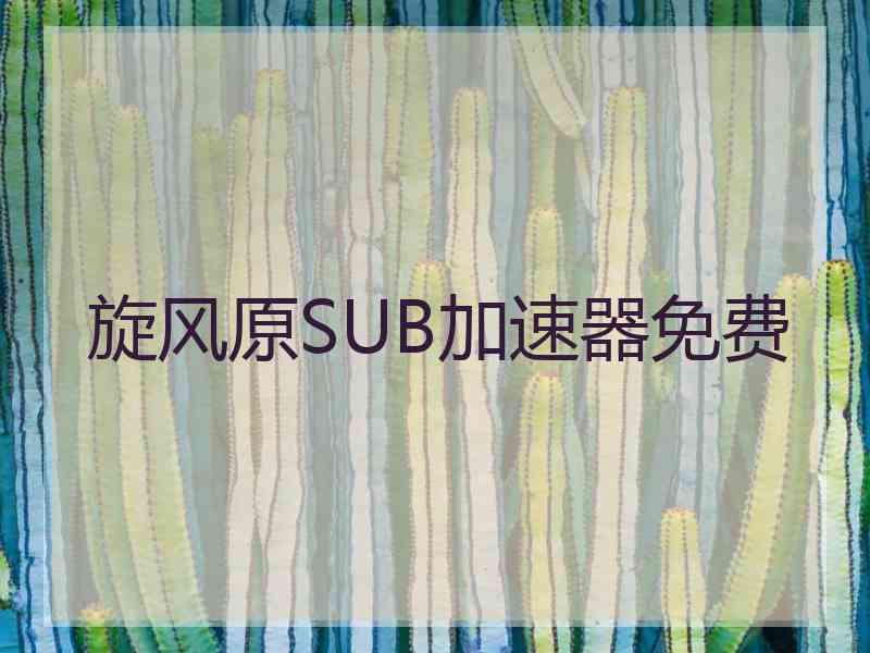 旋风原SUB加速器免费