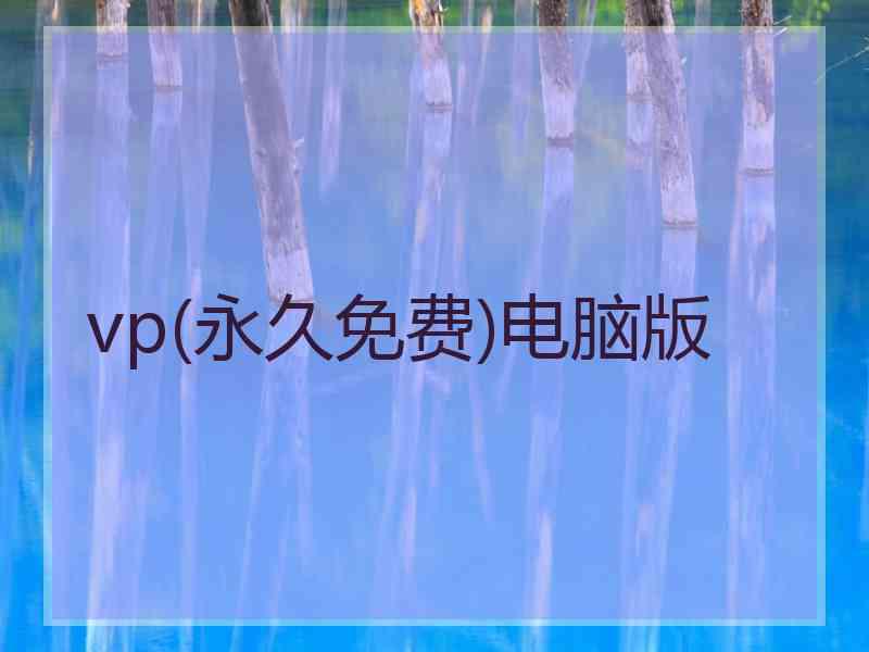 vp(永久免费)电脑版