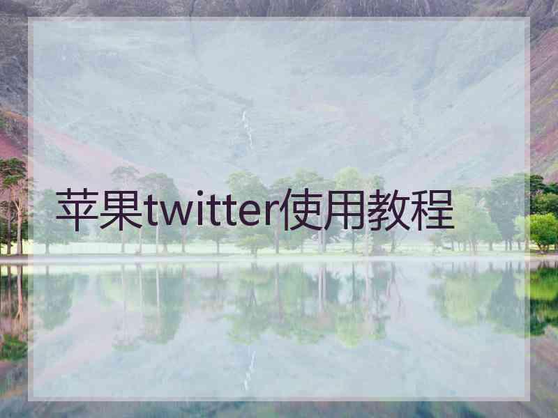 苹果twitter使用教程