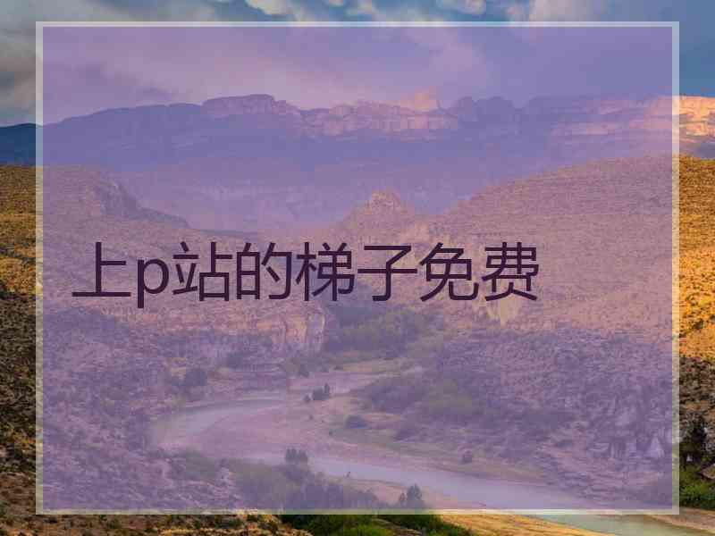 上p站的梯子免费