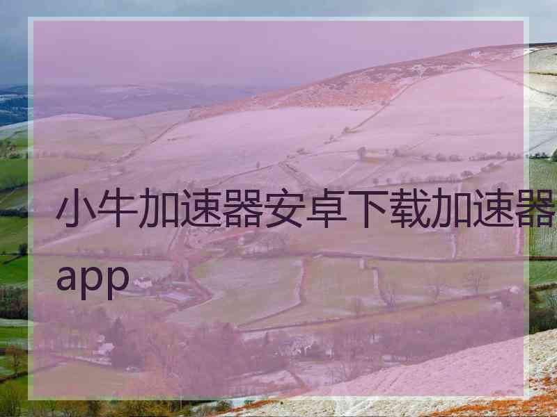 小牛加速器安卓下载加速器app