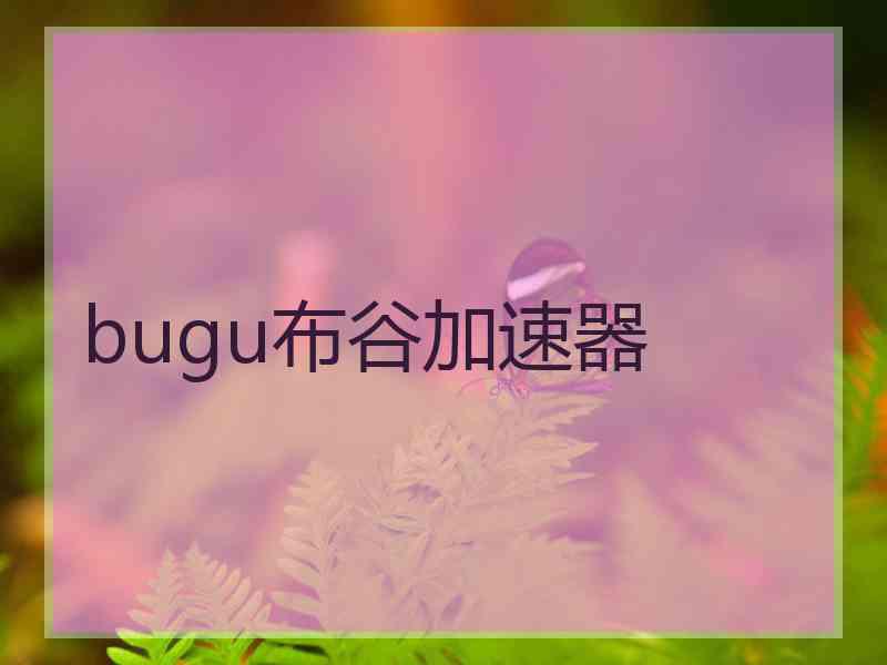 bugu布谷加速器