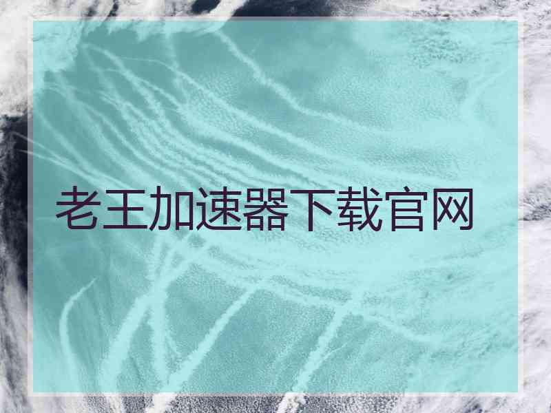 老王加速器下载官网